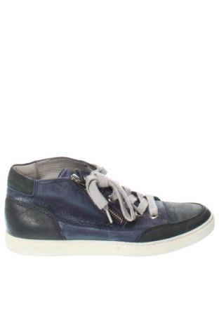 Damenschuhe Paul Green, Größe 37, Farbe Blau, Preis € 35,28