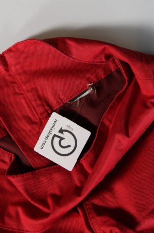 Damenhose, Größe S, Farbe Rot, Preis € 6,99