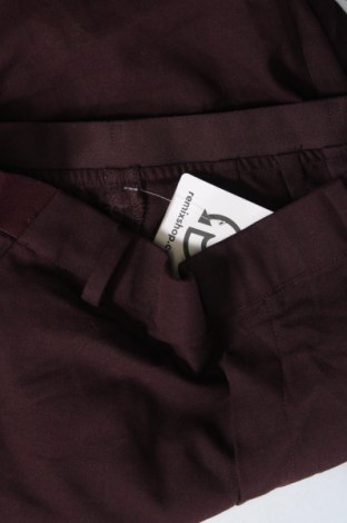 Damenhose, Größe XXS, Farbe Lila, Preis € 6,99