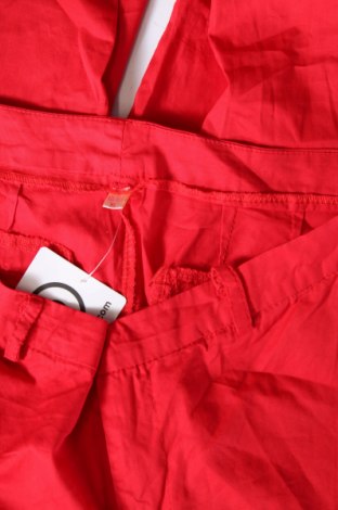 Damenhose, Größe M, Farbe Rot, Preis € 4,99