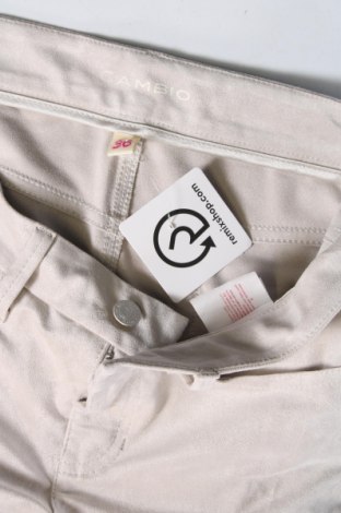 Damenhose Cambio, Größe M, Farbe Grau, Preis € 7,49