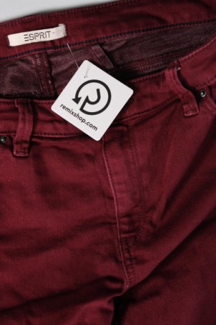 Damenhose Esprit, Größe M, Farbe Rot, Preis € 6,99