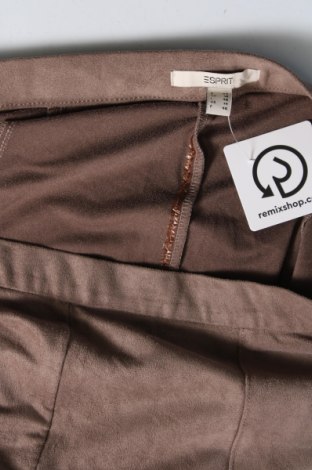 Damenhose Esprit, Größe XL, Farbe Braun, Preis € 10,49