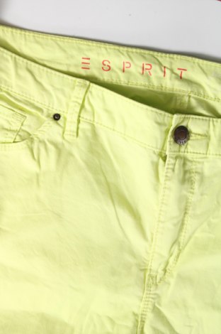 Damenhose Esprit, Größe XL, Farbe Grün, Preis € 12,49