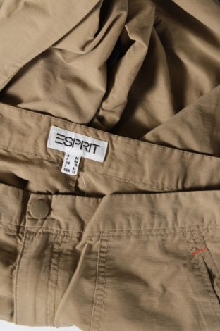 Damenhose Esprit, Größe L, Farbe Beige, Preis € 12,53