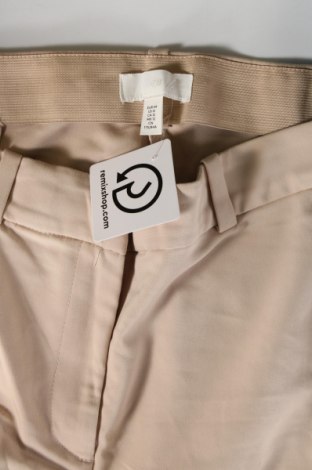 Damenhose H&M, Größe XL, Farbe Beige, Preis € 10,98