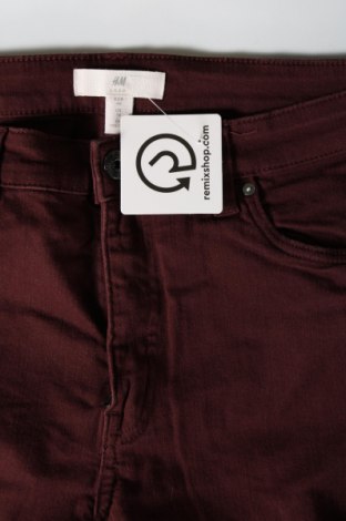 Damenhose H&M, Größe M, Farbe Lila, Preis 9,49 €