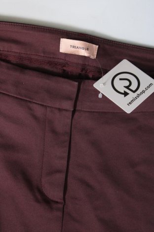 Pantaloni de femei Triangle By s.Oliver, Mărime L, Culoare Maro, Preț 68,99 Lei