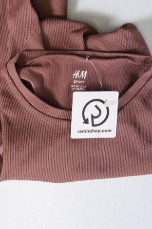 Damentop H&M, Größe XS, Farbe Braun, Preis € 2,99