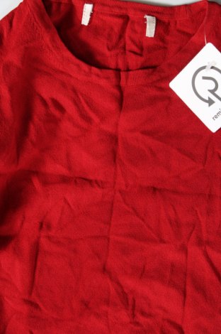 Damenpullover, Größe S, Farbe Rot, Preis € 2,99