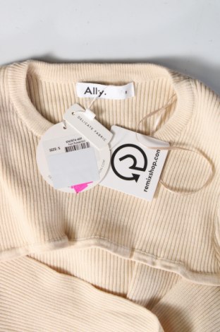 Damenpullover Ally, Größe S, Farbe Beige, Preis € 11,79