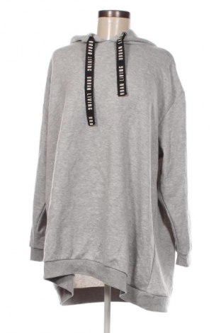 Damen Sweatshirt Janina, Größe 3XL, Farbe Grau, Preis € 17,49