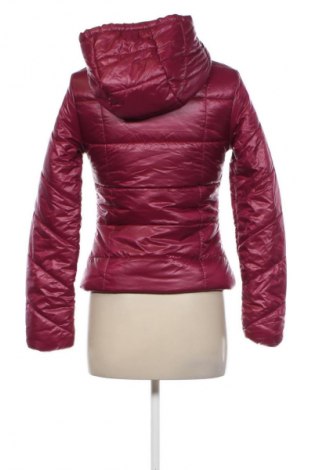 Damenjacke Bershka, Größe XS, Farbe Rosa, Preis € 29,79