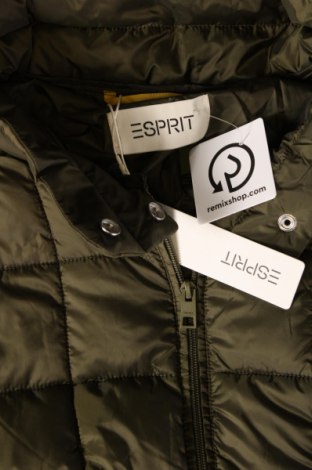 Damenjacke Esprit, Größe L, Farbe Grün, Preis € 40,99