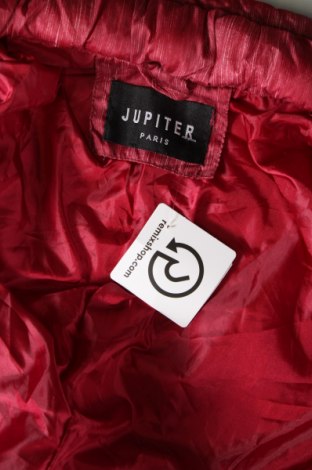 Damenjacke Jupiter, Größe XL, Farbe Rot, Preis € 14,99