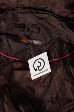 Damenjacke Peter Storm, Größe XL, Farbe Braun, Preis € 14,99