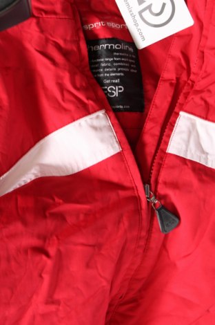 Damenjacke für Wintersports Esprit Sports, Größe XL, Farbe Rot, Preis € 28,79