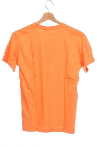 Kinder T-Shirt Dognose, Größe 12-13y/ 158-164 cm, Farbe Orange, Preis € 6,14