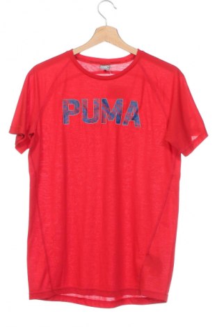 Kinder T-Shirt PUMA, Größe 15-18y/ 170-176 cm, Farbe Rot, Preis € 9,14