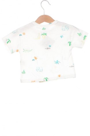 Dziecięcy T-shirt Zara, Rozmiar 3-6m/ 62-68 cm, Kolor Kolorowy, Cena 10,49 zł