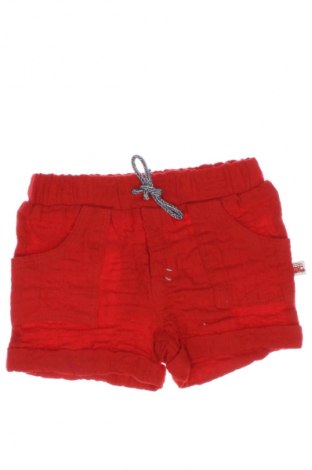 Kinder Shorts Absorba, Größe 6-9m/ 68-74 cm, Farbe Rot, Preis 5,99 €