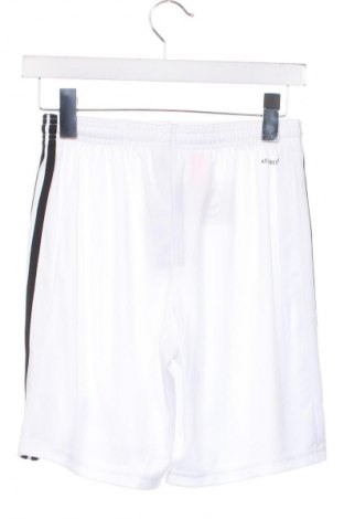 Kinder Shorts Adidas, Größe 15-18y/ 170-176 cm, Farbe Weiß, Preis 29,30 €