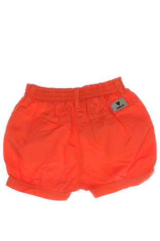 Kinder Shorts Catimini, Größe 6-9m/ 68-74 cm, Farbe Rot, Preis € 5,49