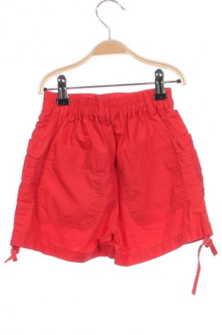 Kinder Shorts Kiddo, Größe 2-3y/ 98-104 cm, Farbe Rot, Preis € 2,99