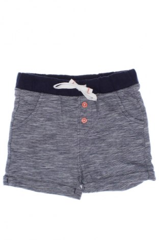 Kinder Shorts Obaibi, Größe 12-18m/ 80-86 cm, Farbe Mehrfarbig, Preis € 5,49