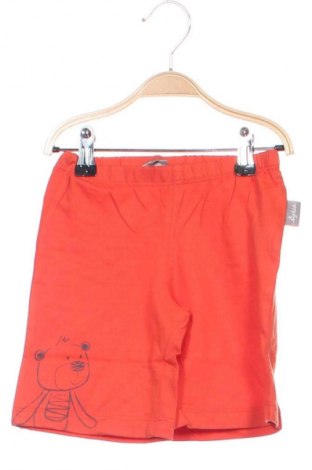 Kinder Shorts Sigikid, Größe 18-24m/ 86-98 cm, Farbe Orange, Preis € 6,99