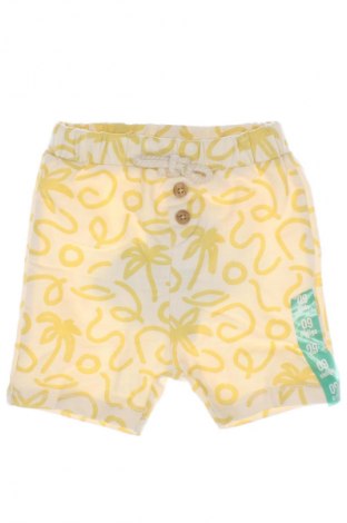 Kinder Shorts Zara, Größe 9-12m/ 74-80 cm, Farbe Mehrfarbig, Preis € 5,49