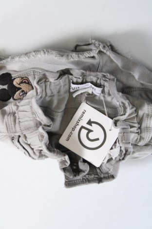 Kinder Shorts Zara, Größe 9-12m/ 74-80 cm, Farbe Grau, Preis € 2,79