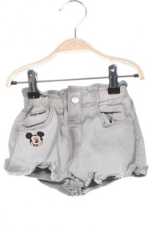 Kinder Shorts Zara, Größe 9-12m/ 74-80 cm, Farbe Grau, Preis 1,99 €