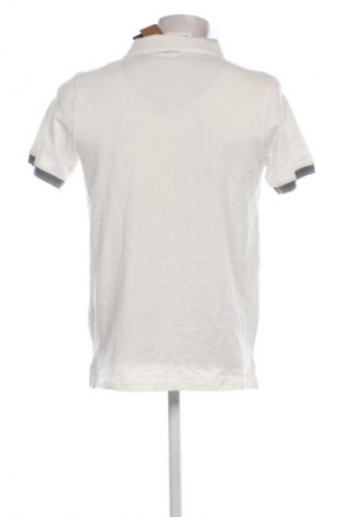 Herren T-Shirt 17 & Co., Größe L, Farbe Weiß, Preis € 13,99