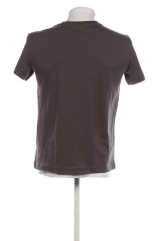 Herren T-Shirt Calvin Klein, Größe S, Farbe Grau, Preis € 23,99