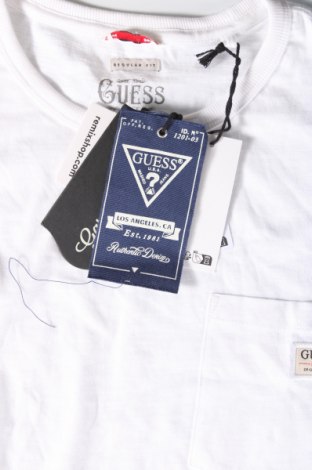 Herren T-Shirt Guess, Größe M, Farbe Weiß, Preis € 27,99