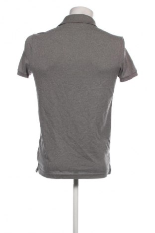 Herren T-Shirt Hollister, Größe S, Farbe Grau, Preis € 13,99