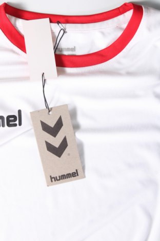 Ανδρικό t-shirt Hummel, Μέγεθος M, Χρώμα Λευκό, Τιμή 6,99 €