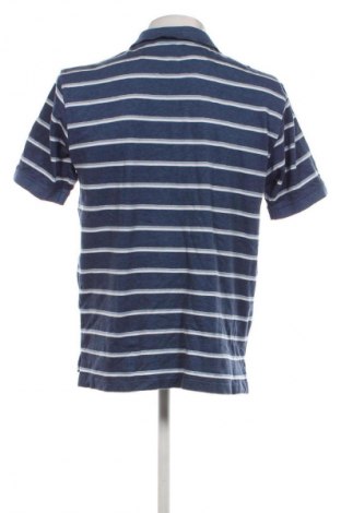 Herren T-Shirt Izod, Größe M, Farbe Mehrfarbig, Preis 7,99 €