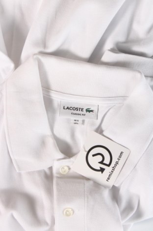 Мъжка тениска Lacoste, Размер L, Цвят Бял, Цена 124,49 лв.