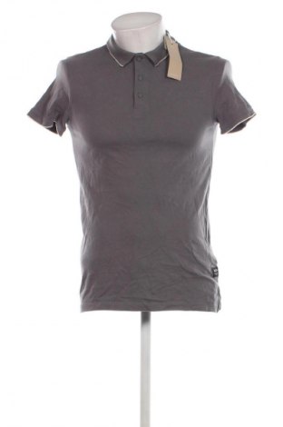 Herren T-Shirt Tom Tailor, Größe S, Farbe Grau, Preis € 23,99