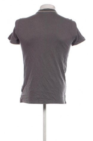 Herren T-Shirt Tom Tailor, Größe S, Farbe Grau, Preis € 23,99