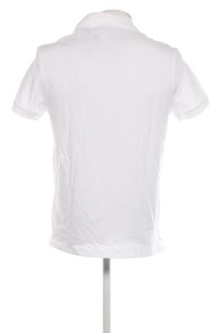 Herren T-Shirt Tommy Hilfiger, Größe L, Farbe Weiß, Preis € 80,79