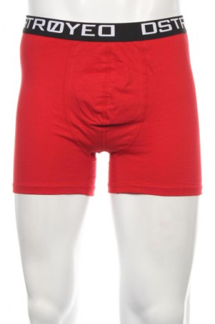 Boxershorts DSTROYED, Größe XXL, Farbe Rot, Preis 9,99 €