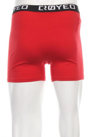 Boxershorts DSTROYED, Größe XXL, Farbe Rot, Preis € 9,99