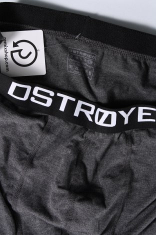 Boxershorts DSTROYED, Größe XXL, Farbe Grau, Preis € 8,99