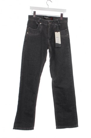 Herren Jeans, Größe S, Farbe Grau, Preis € 4,99