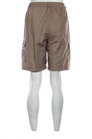 Herren Shorts, Größe XL, Farbe Grün, Preis € 12,99