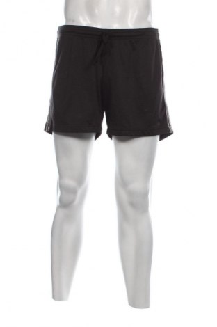 Herren Shorts Crane, Größe L, Farbe Schwarz, Preis 13,49 €