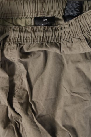 Herren Shorts H&M, Größe M, Farbe Grün, Preis € 5,99